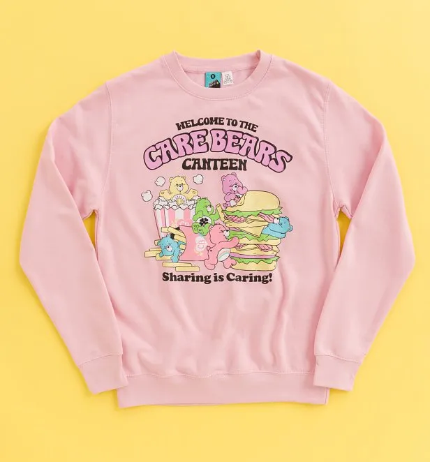 Care Bears Canteen Light Pink Sweater