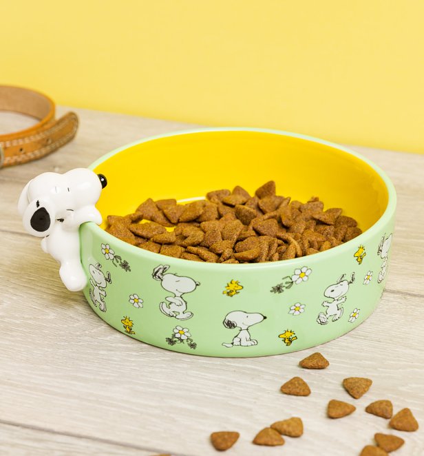 Peanuts Dog Bowl with 3D Snoopy