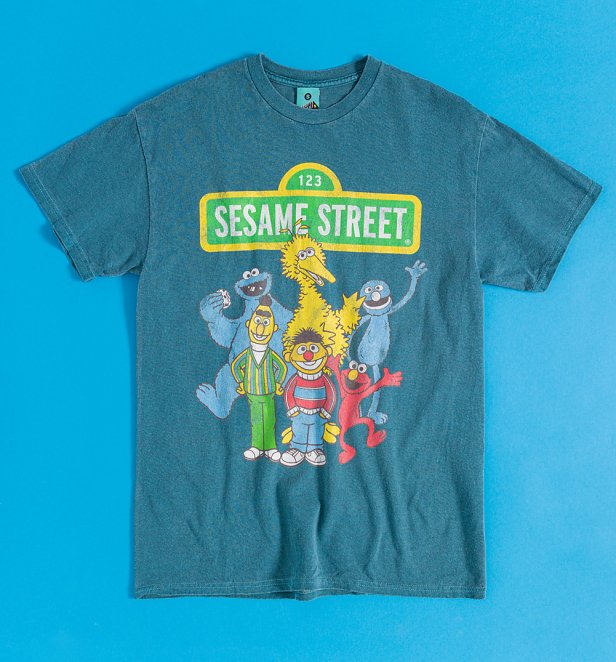 Sesame Street Characters Jade Vintage Wash T-Shirt