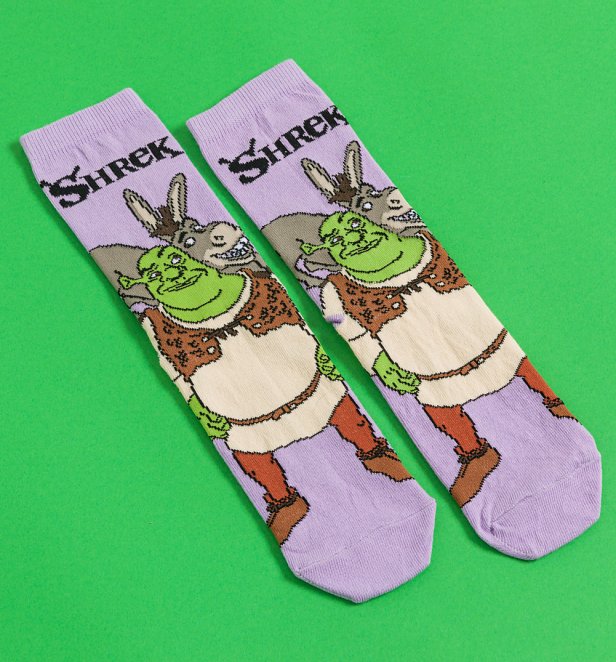 Shrek and Donkey Socks