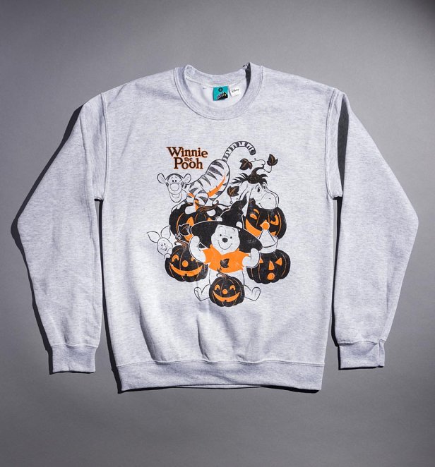 Disney Winnie The Pooh Halloween Party Ash Grey Sweater